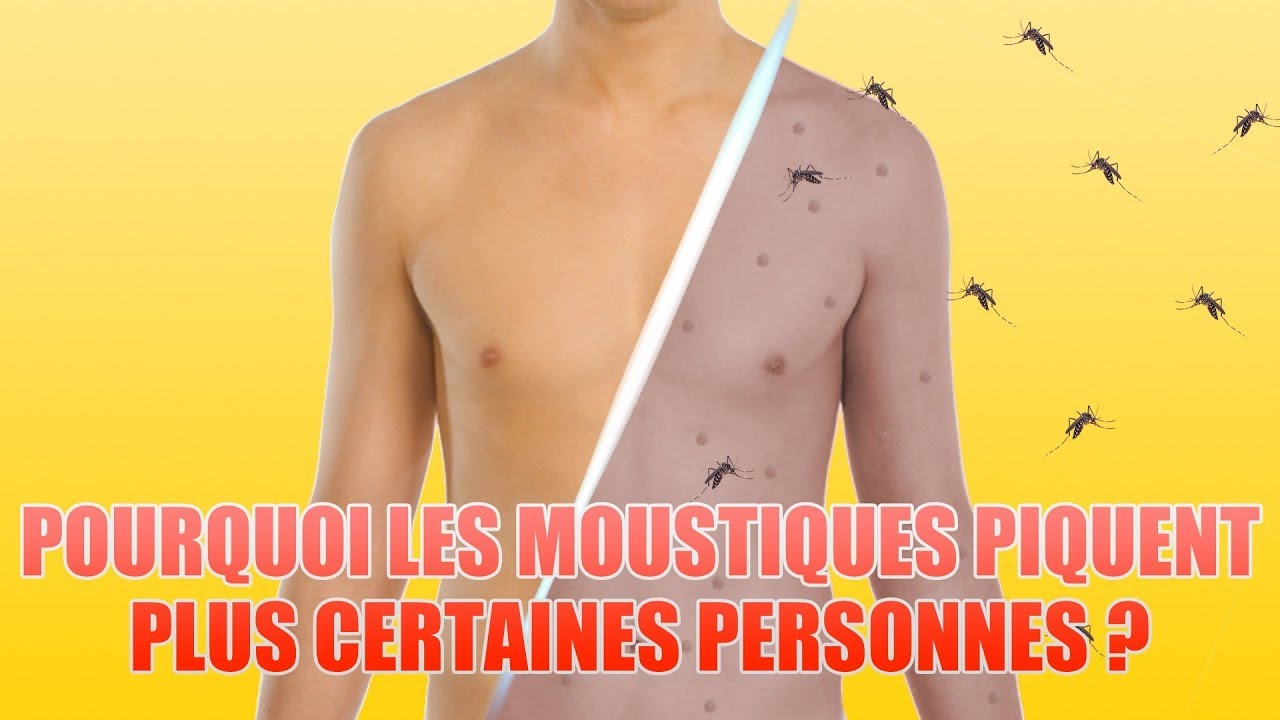 POURQUOI LES MOUSTIQUES PIQUENT PLUS CERTAINES PERSONNES QUE D'AUTRES ?