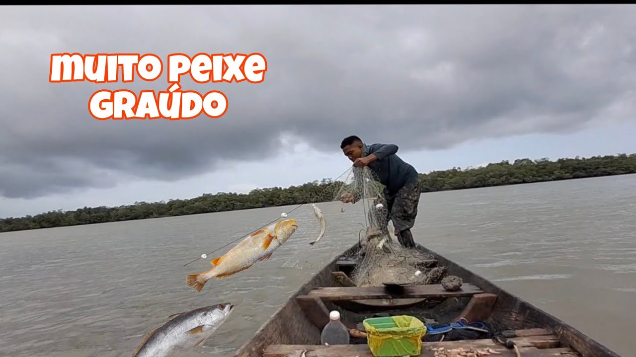 Pescaria de rede 030 na boca do Igarapé Veja a quantidade de peixe que pegamos