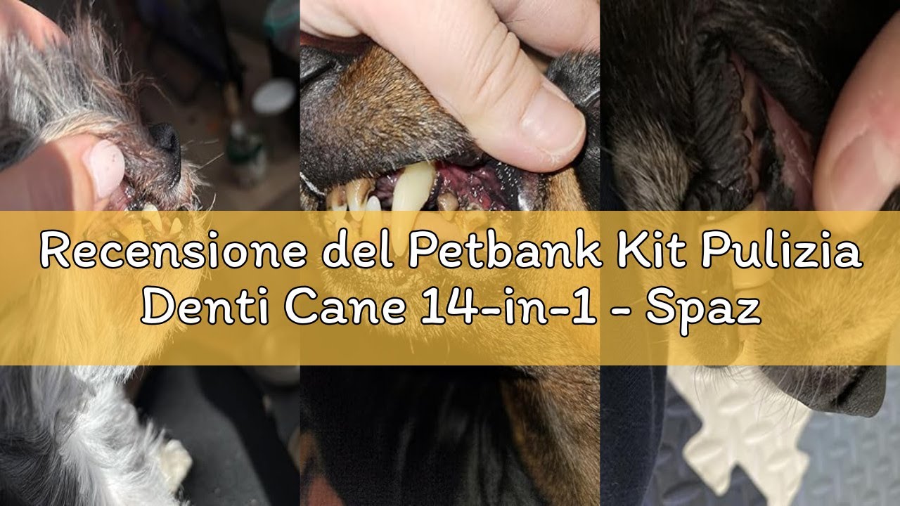 Recensione del Petbank Kit Pulizia Denti Cane 14-in-1 - Spazzolino Ultrasuoni Cani con Luce LED, 5 M
