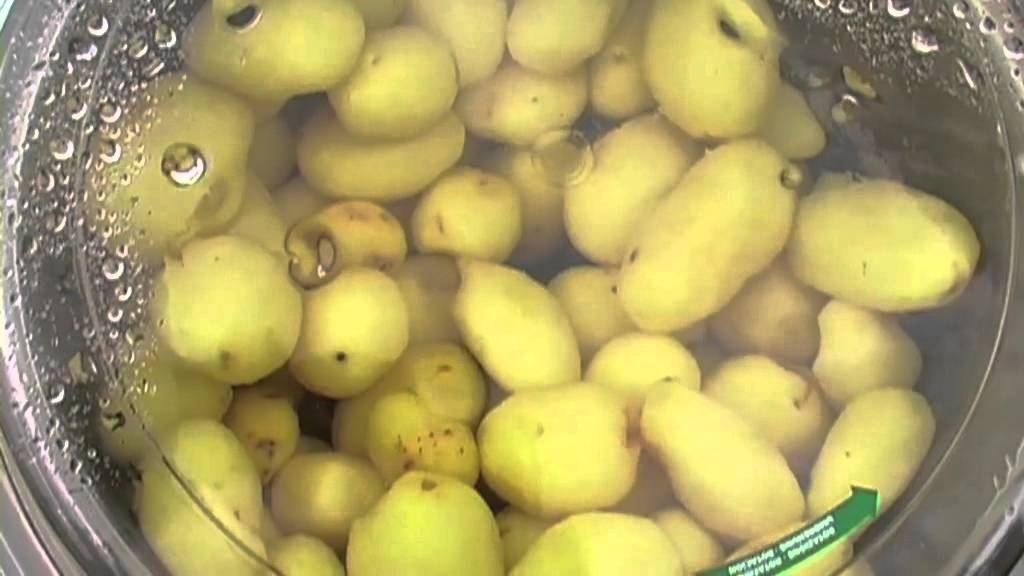 Fimar Potato Peeler (2)