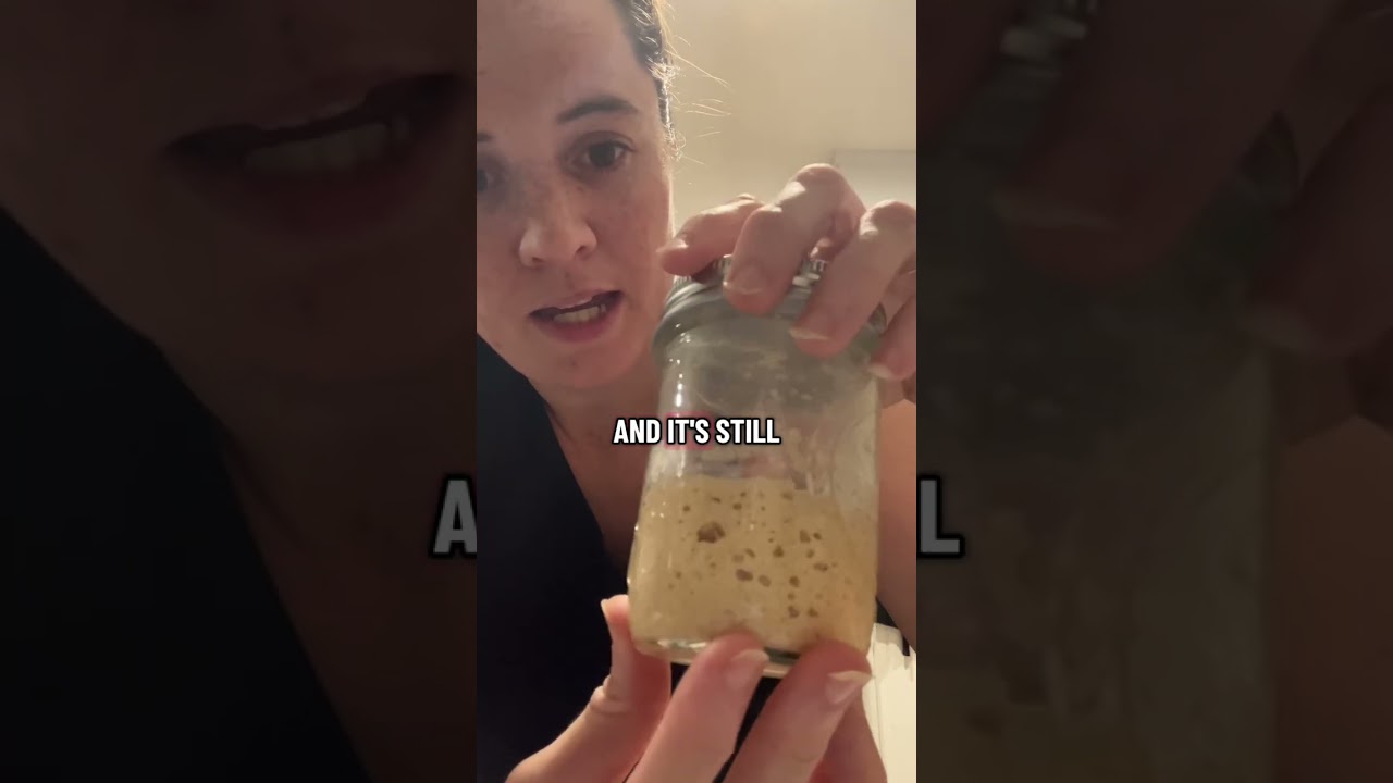 How to start your sourdough starter with fresh milled flour Using the no discard method .