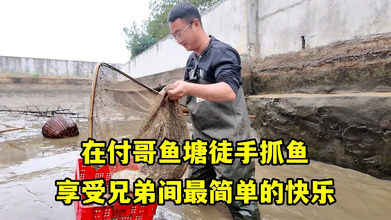 在付哥魚池徒手抓魚，鮮魚上桌收穫滿滿，享受兄弟間最簡單的快樂