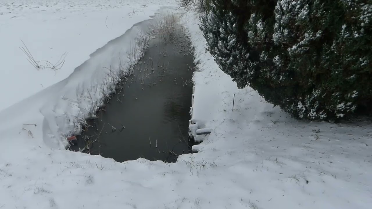 Ingesneeuwd 202601
