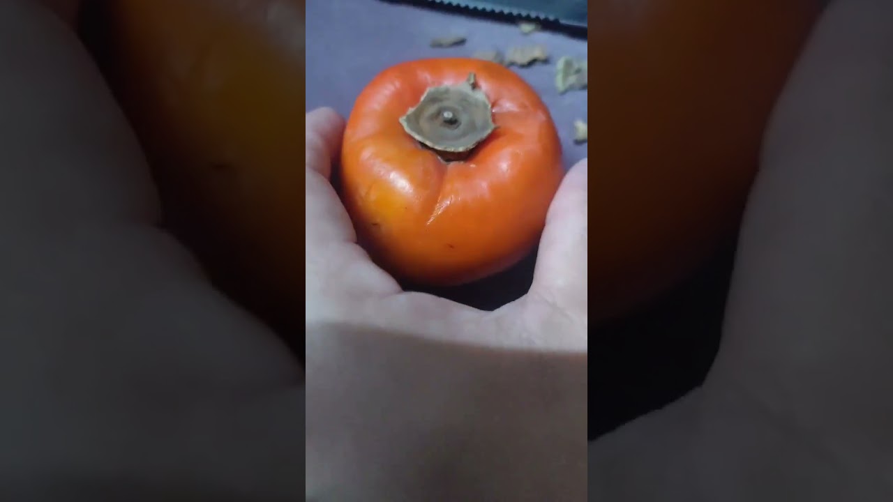HOW TO PEEL PERSIMMON FRUIT #shortvideo #shorts #persimmonfruit #persimmon #fruit
