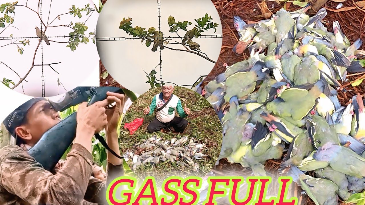 BERBURU PUNAI KALIMANTAN FULL TARGET