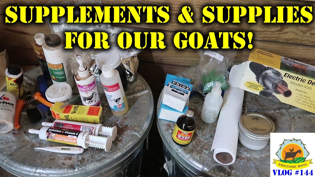 MUST HAVE Supplements and Supplies for our Goats!