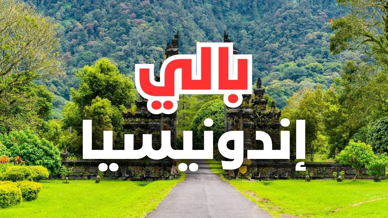 كل ما تحتاج معرفته قبل السفر إلى بالي | الأسعار والأنشطة