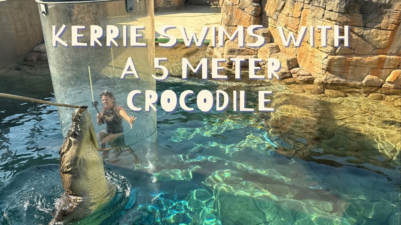 Kerrie Swam With a 5 Meter Crocodile