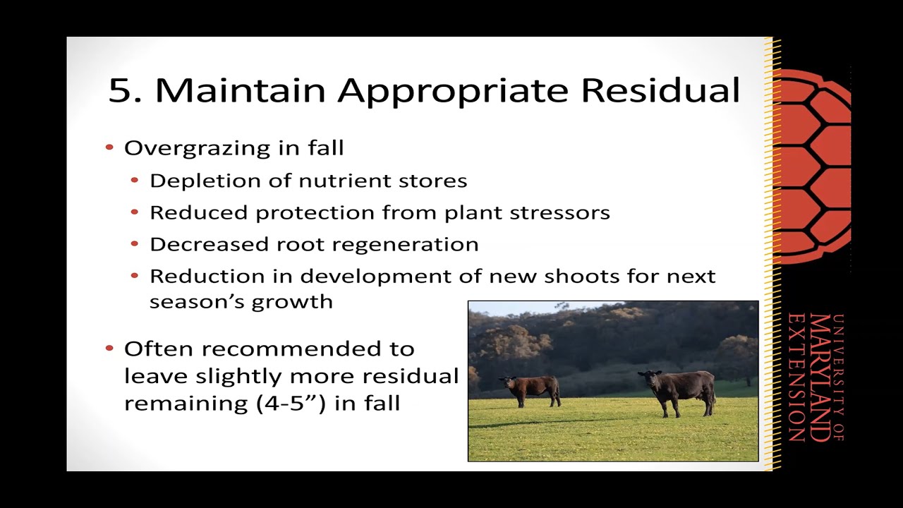 Pasture Management for the Fall Season