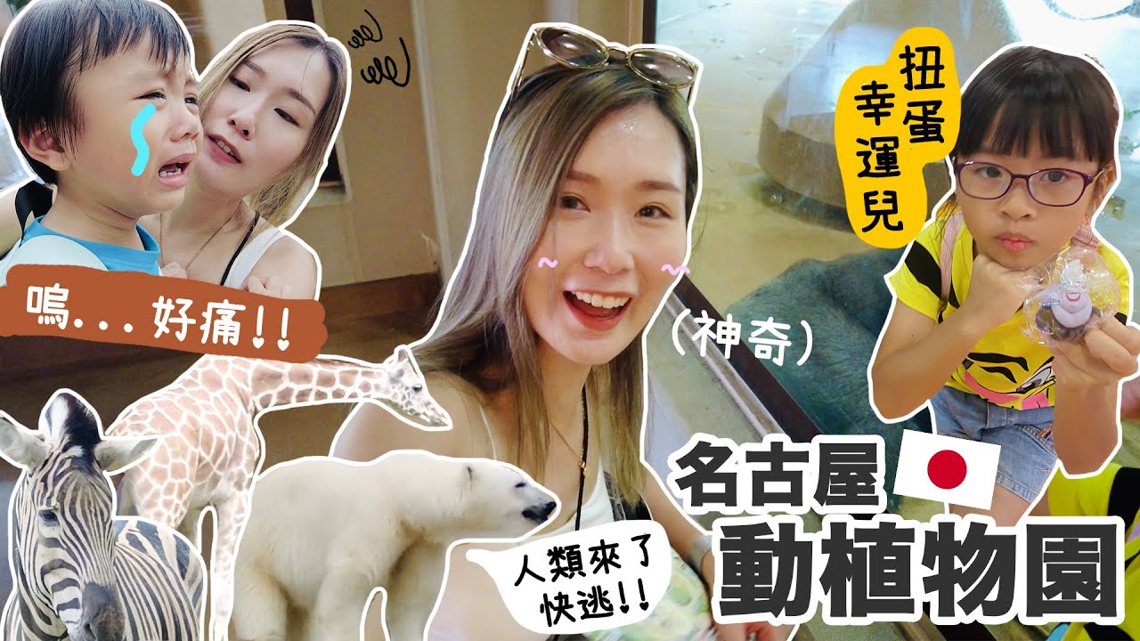 [日本VLOG] 東山動植物公園🦍為什麼動物都躲着我?!｜大須觀音商店街🏮藥妝買買買!! 矢場味增豬扒好吃嗎～｜ Aloe 呀撈