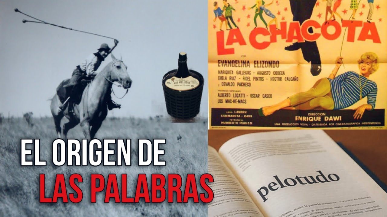 Por qu&eacute; Bolud*, pel0tud*, Hecho Percha, Croto, Susanita, Damajuana Y M&Aacute;S #EscucharonHablar