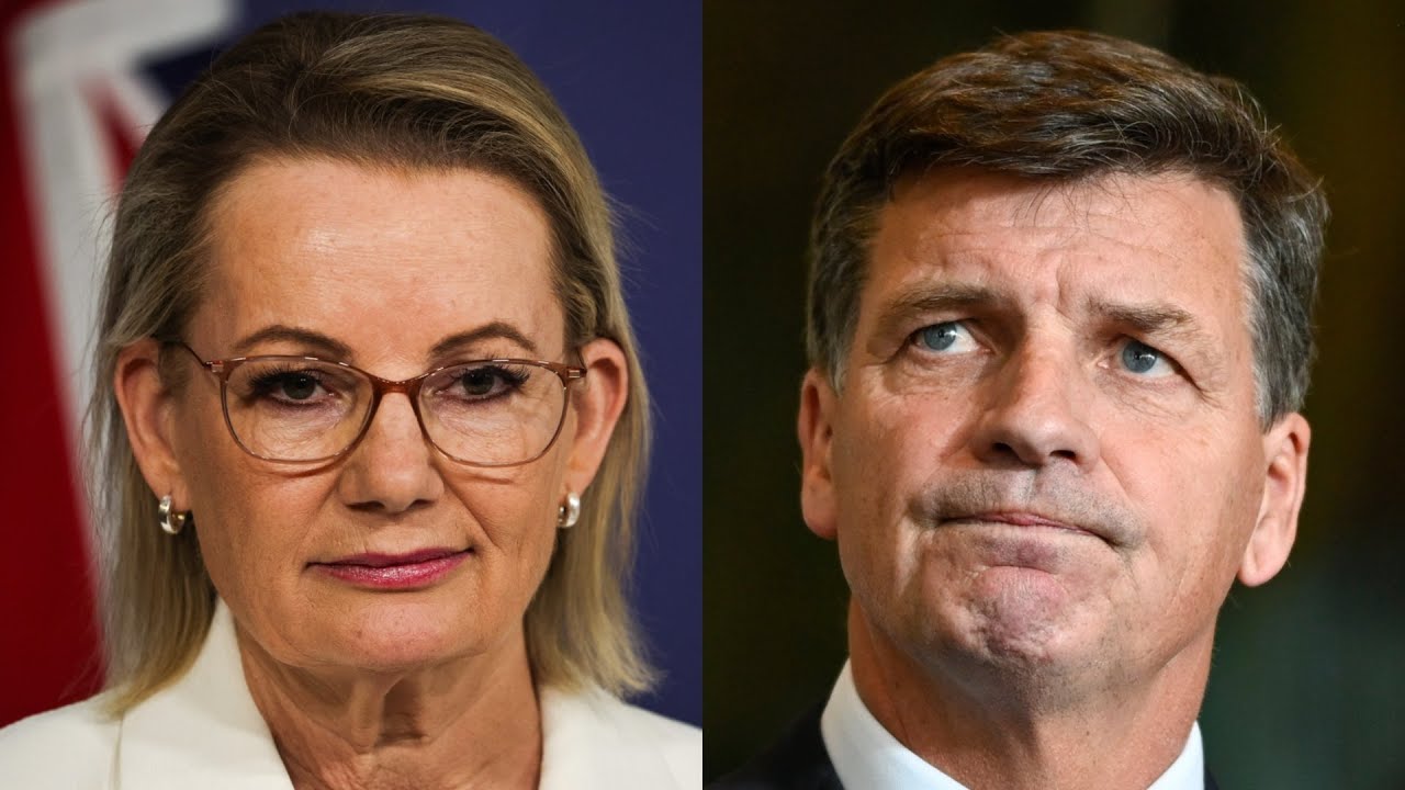 Angus Taylor wins Liberal leadership spill from Sussan Ley