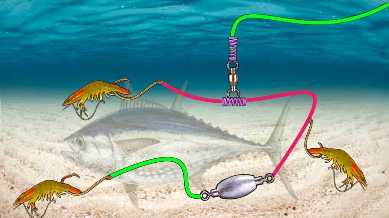 NEW BOTTOM FISHING - Fishermen's secrets for catching the best fish in the sea