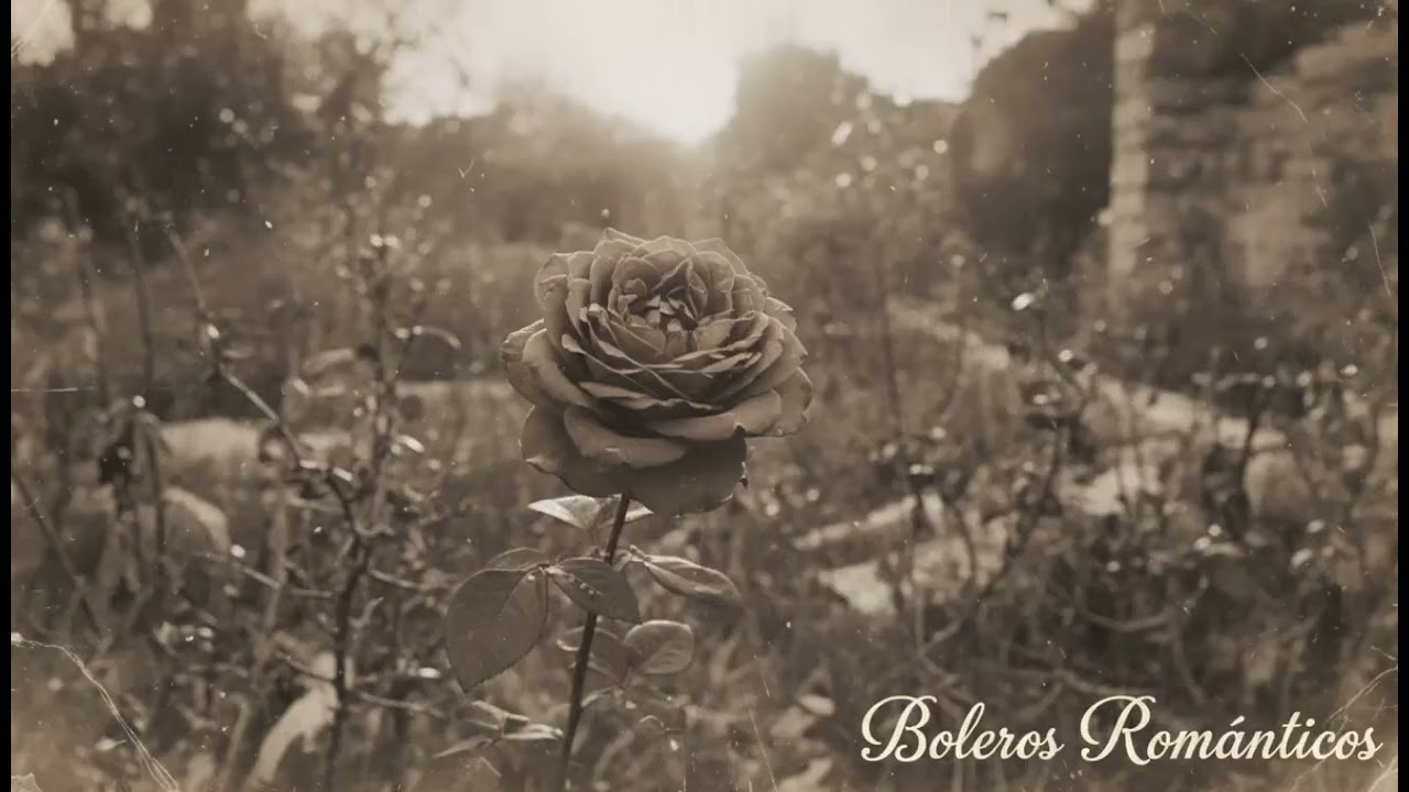 Boleros Romanticos Instrumental Clásico 🕰️ Requinto y Guitarra (Música de los 50s para Relajar) 2026