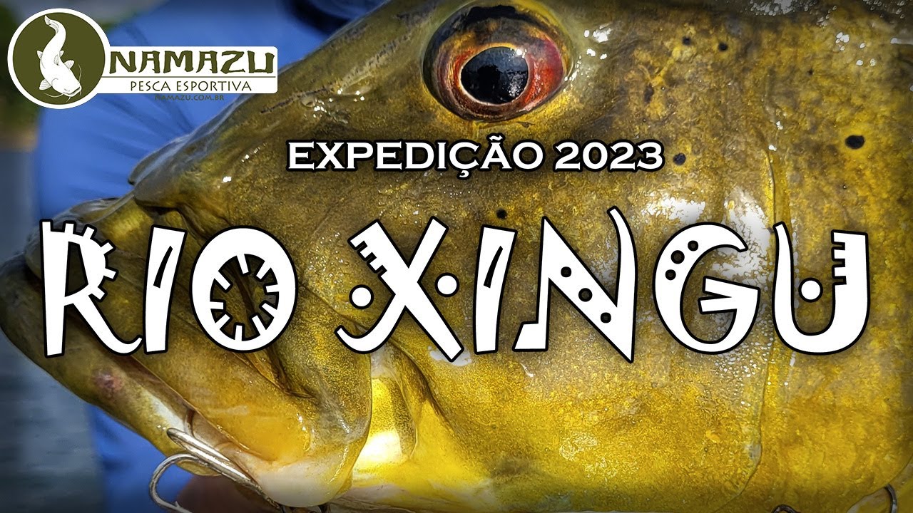 Expedição Rio Xingu 2023, o Tucunaré de corredeira