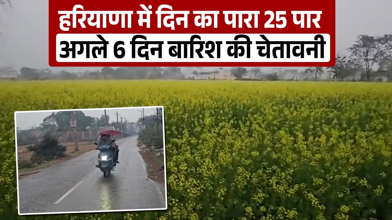 हरियाणा के 13 जिलों में तापमान 25 डिग्री पार, अगले 6 दिन हरियाणवियों के लिए भारी.....