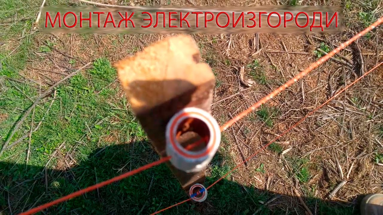 Монтаж электроизгороди, запуск электропастуха
