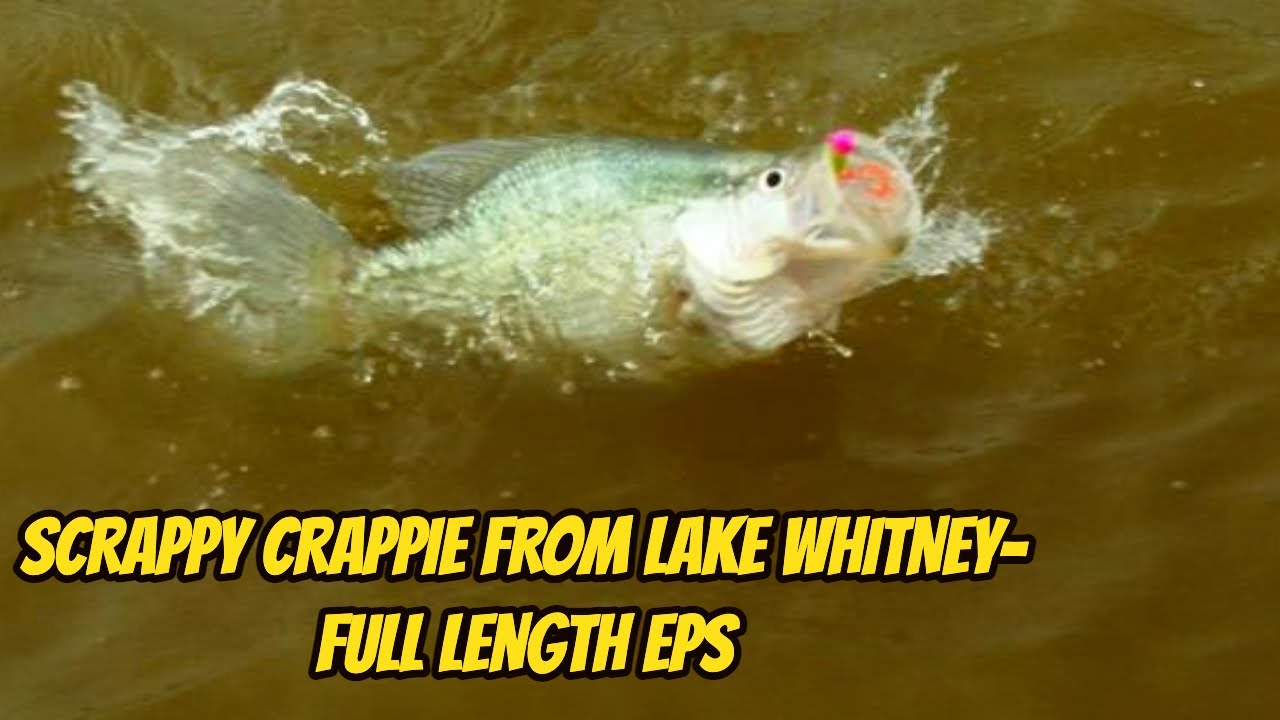 SCRAPPY CRAPPIE FROM LAKE WHITNEY- New full length episode!