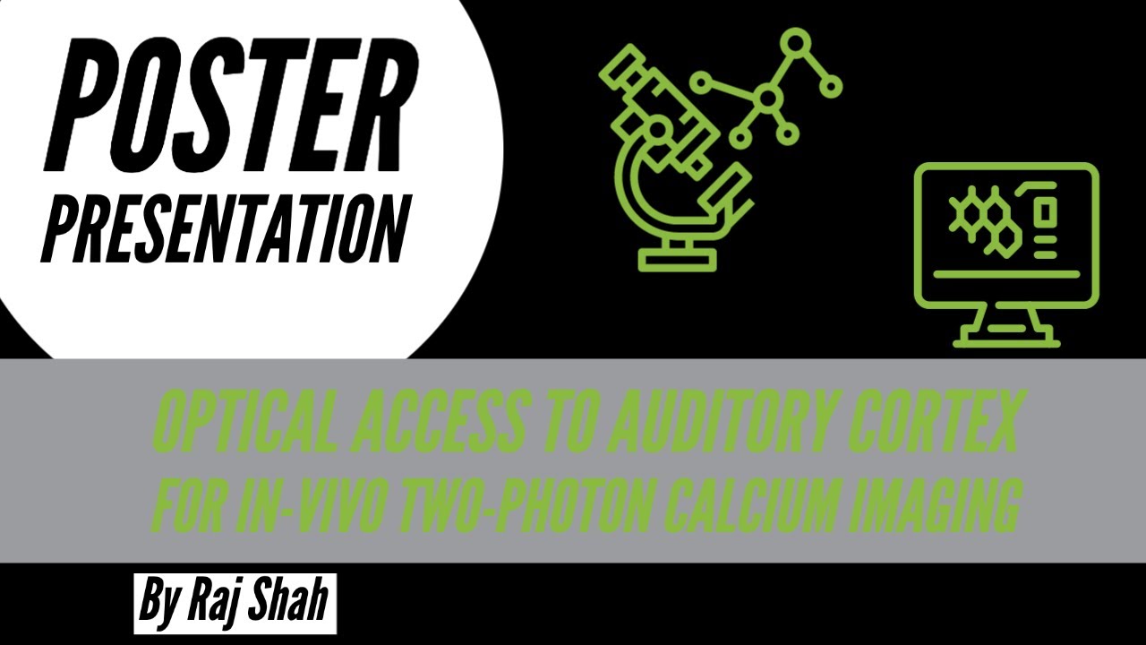 2020 Optical access to auditory cortex for use in in-vivo two-photon calcium imaging By Raj Shah