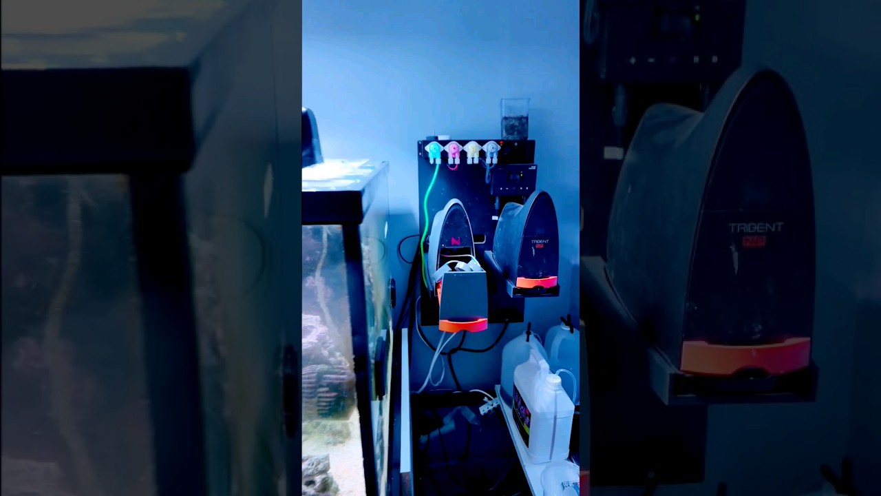 Neptune Systems Trident Maintenance #reefing #fishtank #tester #NeptuneTrident #AquariumAutomation