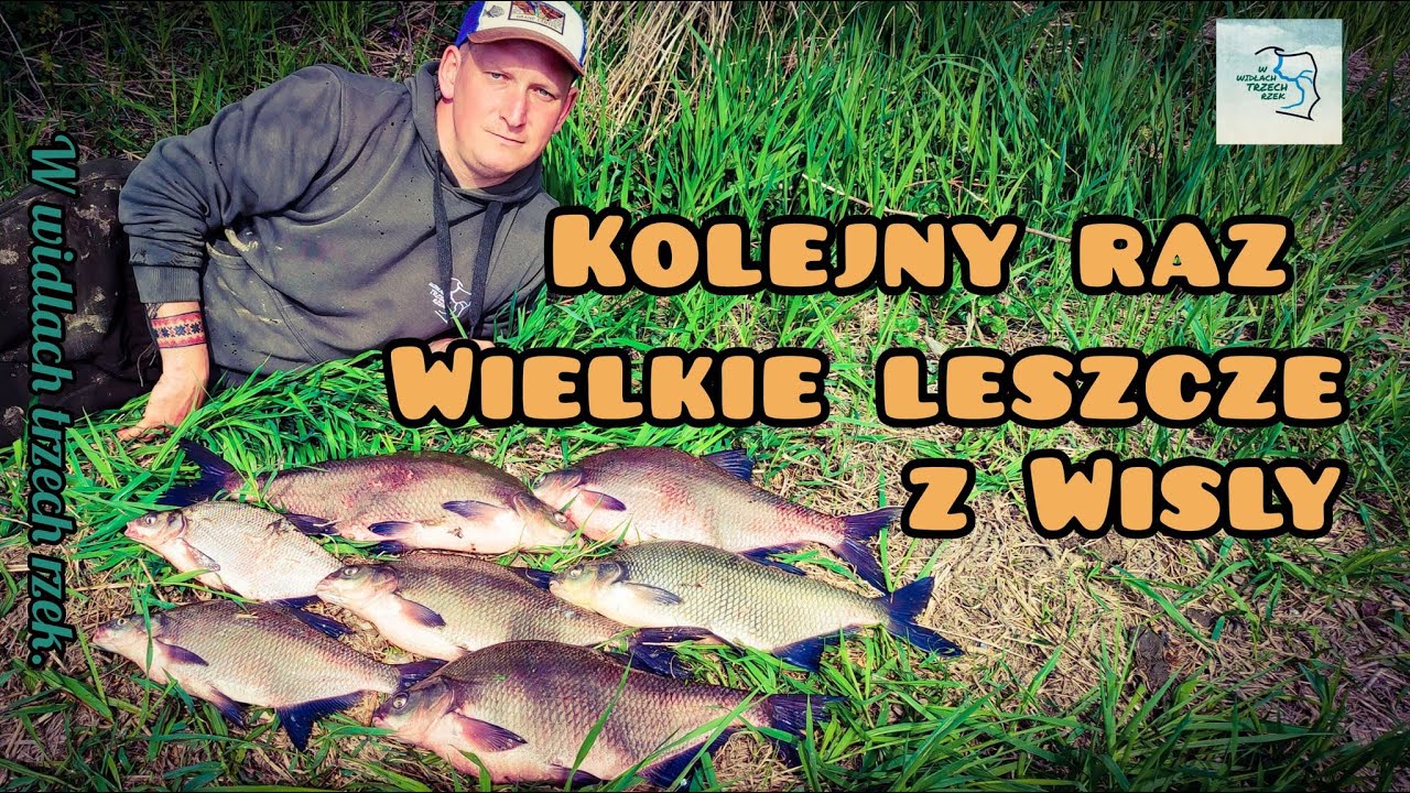 KOLEJNY RAZ WIELKIE LESZCZE Z WISŁY - FEEDER WĘDKARSTWO 2022