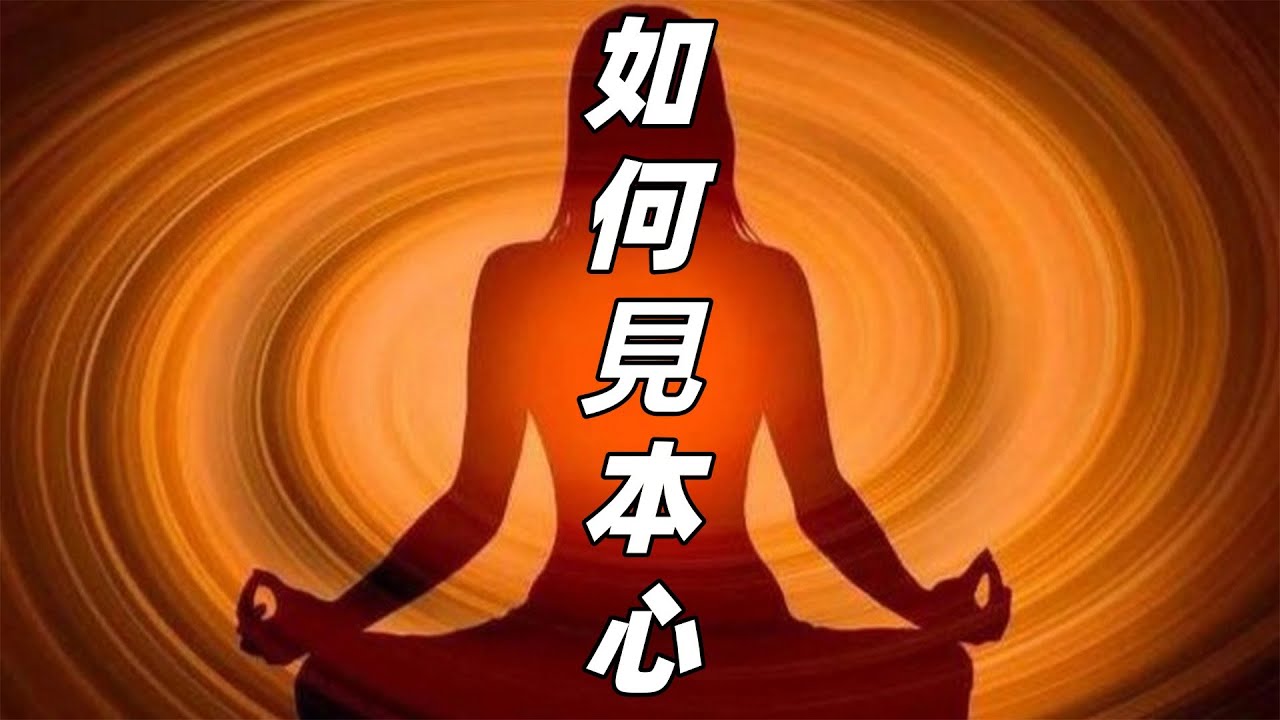 如何見本心？本心是什麽？它到底在哪裏？#本心 #自性 #覺性 #實修 #修行