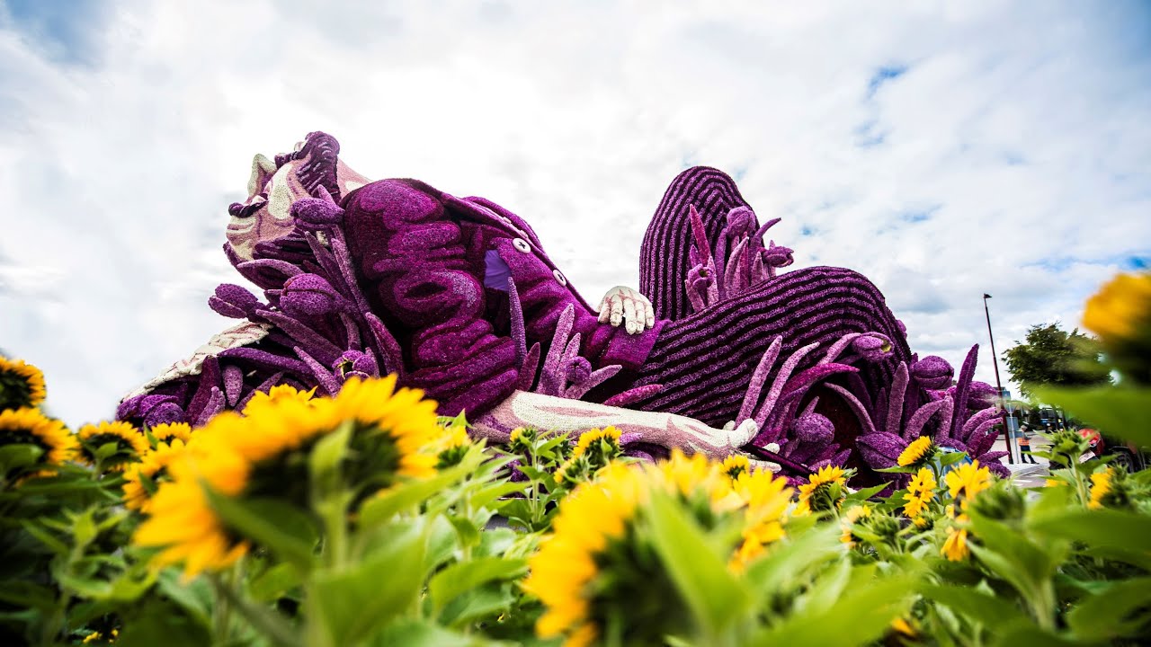 Corso Zundert optocht 2015 - 2de doorkomst (Van Gogh-jaar)