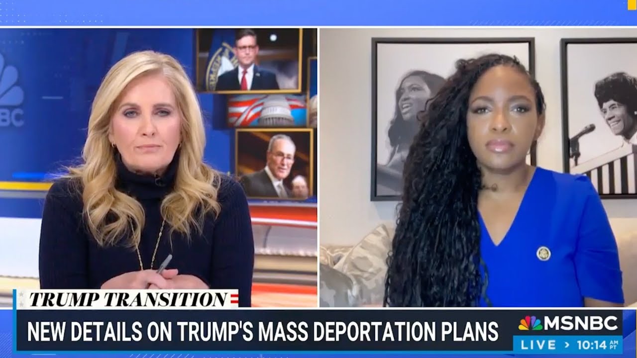 Rep. Crockett Breaks Down Trump's Mass Deportation Plans | REALITY Check with MSNBC's Alex Witt