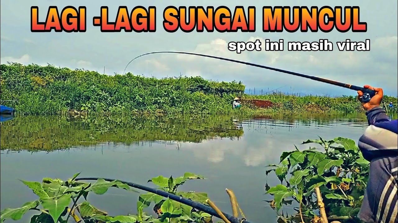 LAGI DAN LAGI SPOT KALI MUNCUL VIRAL !!!