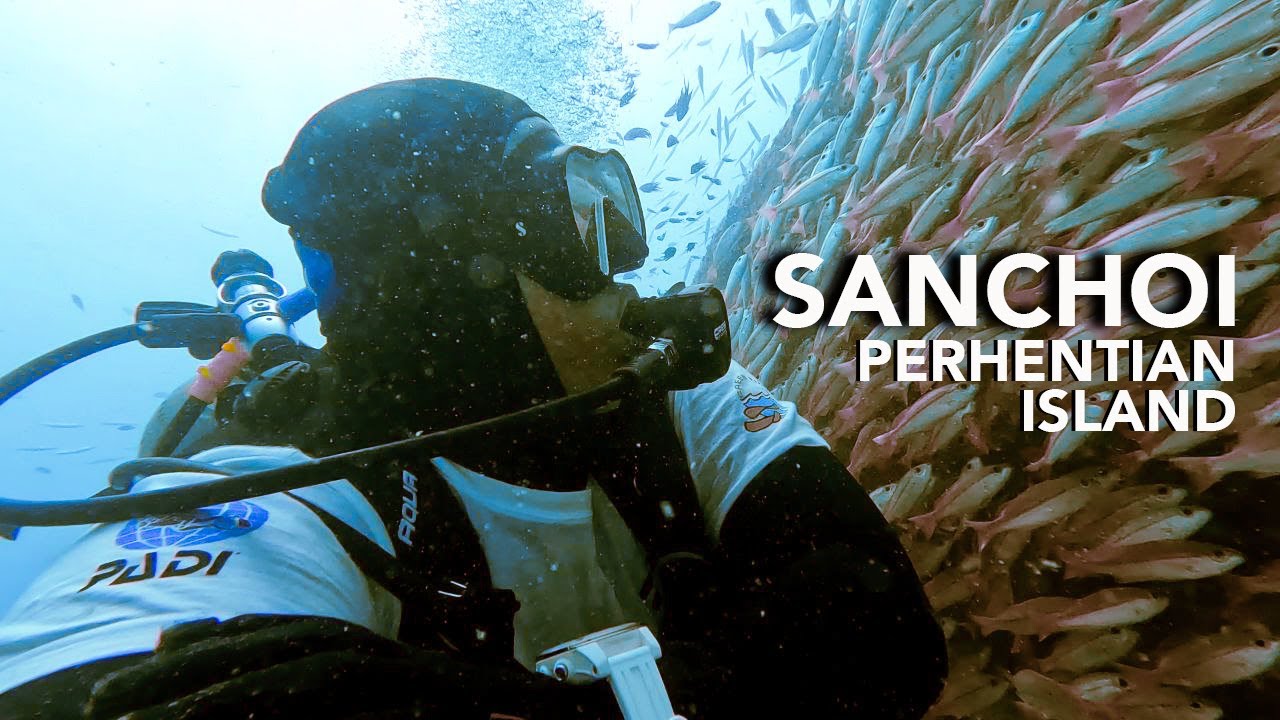 SANCHOI WRECK Dive Site PERHENTIAN ISLAND [4K]