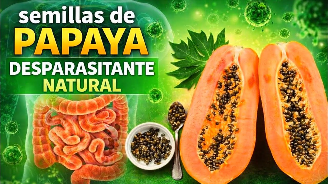 Cómo preparar desparasitante natural con SEMILLAS DE PAPAYA.