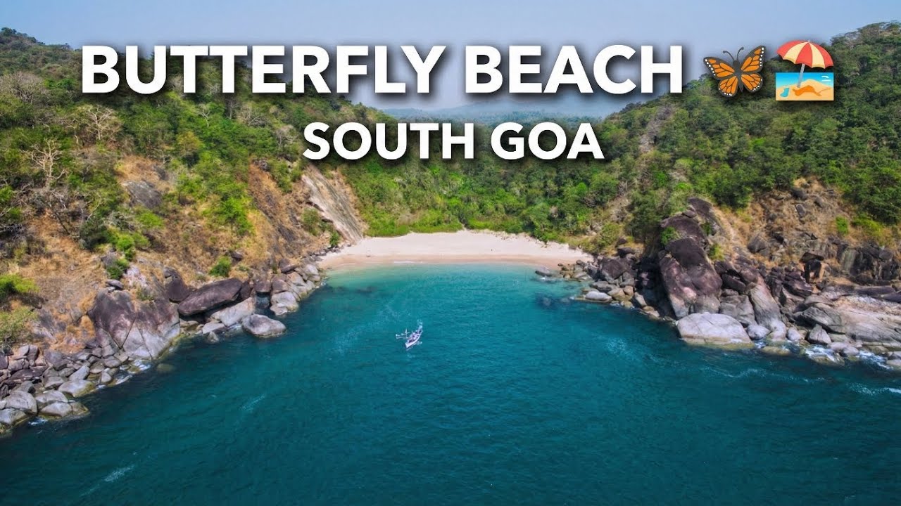 Butterfly beach 🦋🏖️ | Goa Videos in Telugu | water activities in South Goa | Girls Beach party #goa 