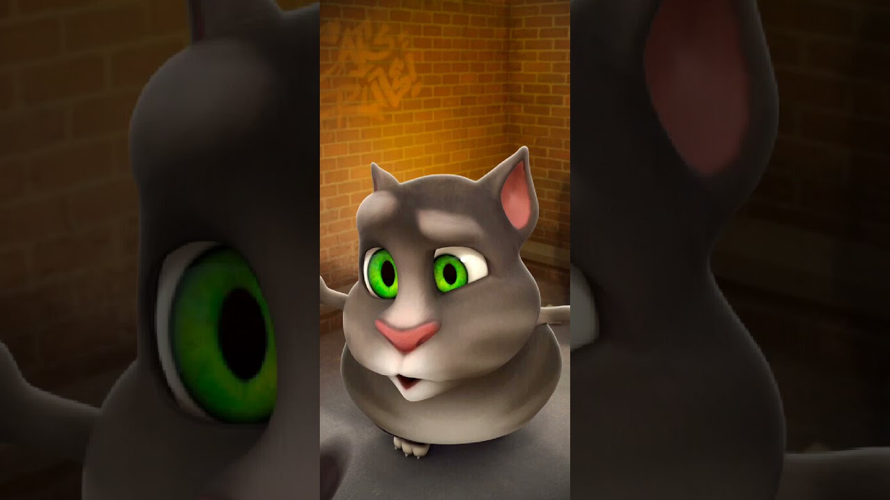 Talking Tom Cat New Video Best Funny Android GamePlay #9966
