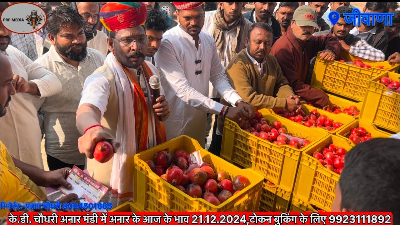 जीवाणा के.डी. चौधरी अनार मंडी में 21.12.2024 के अनार का भाव कैसा रहा देखिए…तानाराम चौधरी…..