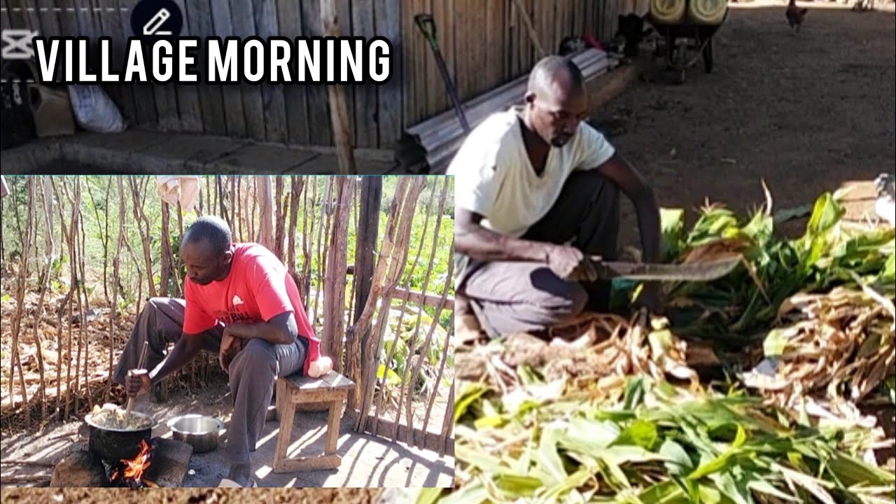 A morning in our homestead : simple village life before Sun get hot 