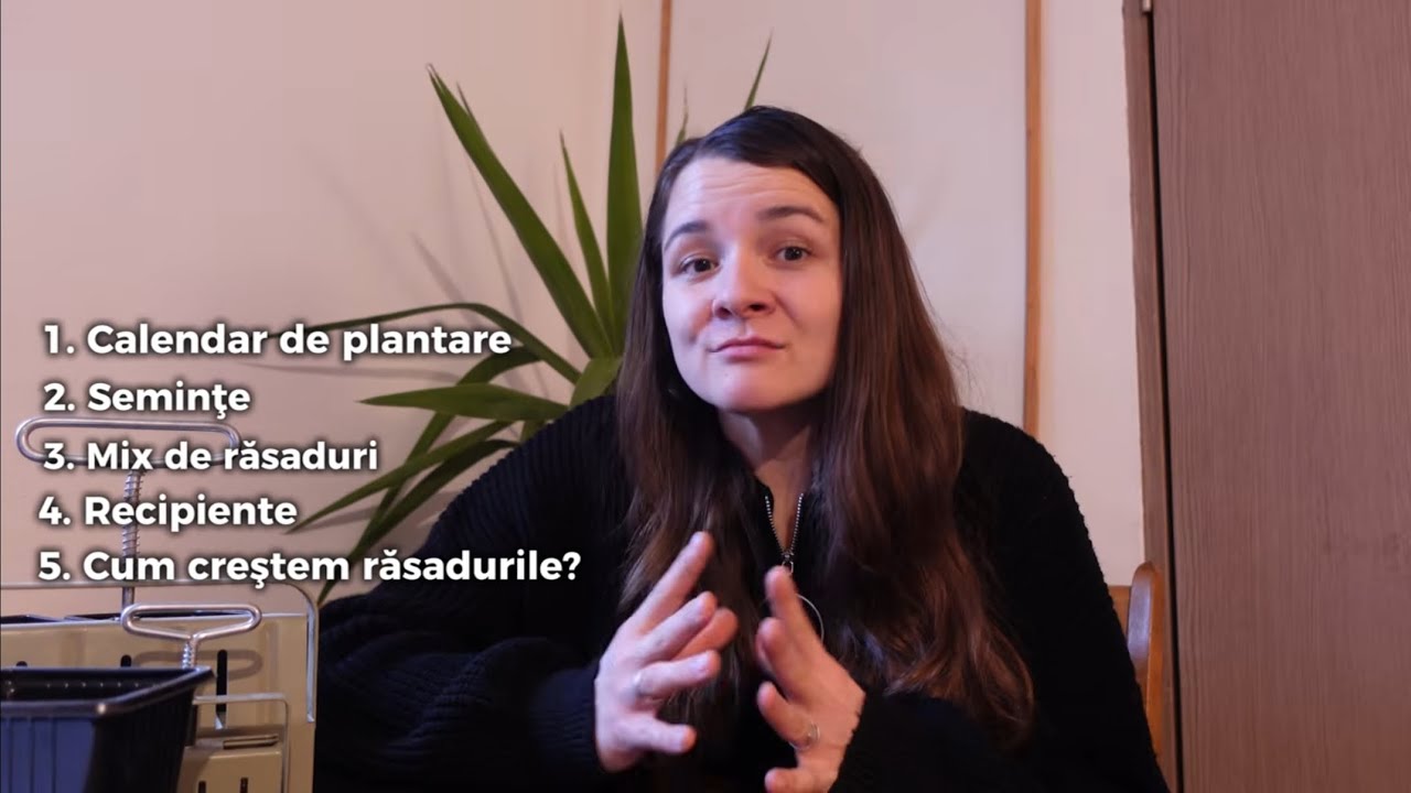 Cum creștem RĂSADURILE – ghid pentru începători