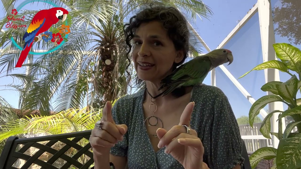 The BEST Pet Parrot 🦜