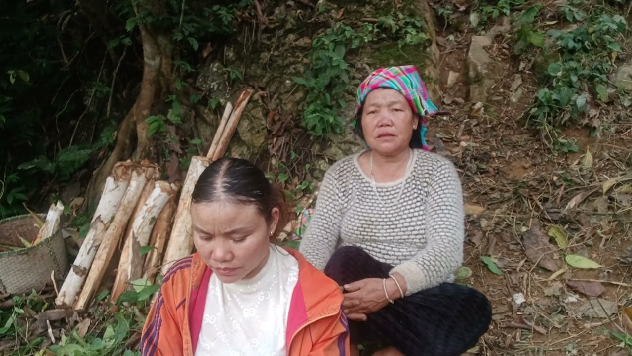 11 tháng 2, 2026