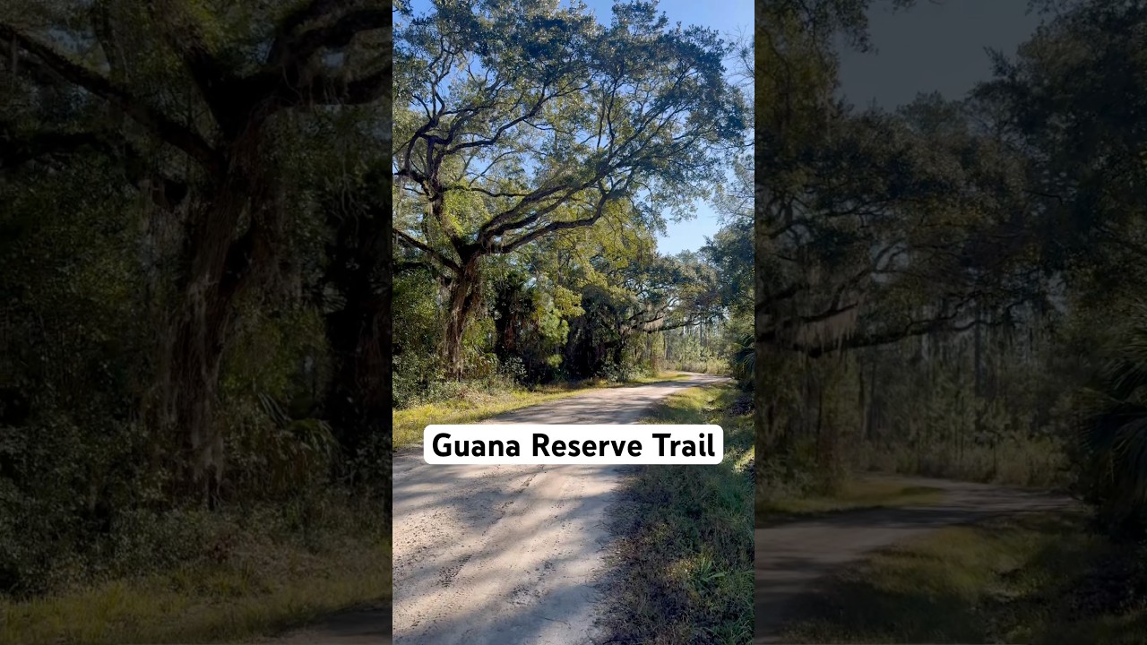 Guana Reserve Trail - Hiking Trails in Jacksonville, FL