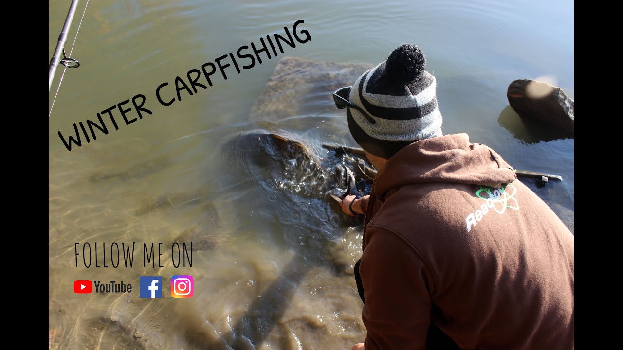 Carpfishing invernale in canale e sul fiume Po