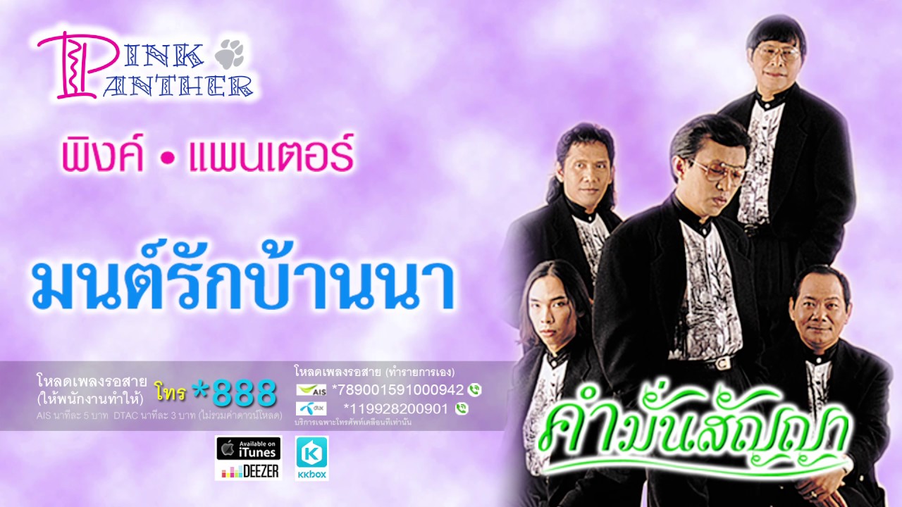 มนต์รักบ้านนา - พิงค์แพนเตอร์ [ Official Audio ]