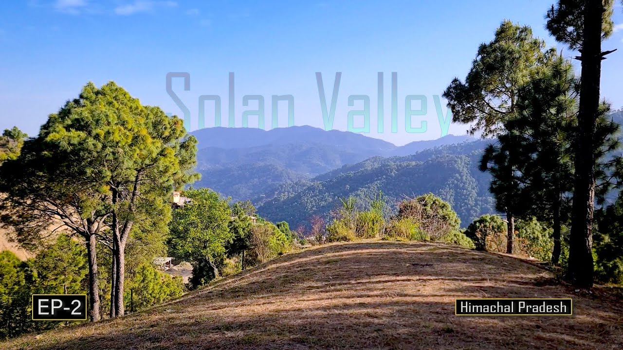 Trekking in Pine Forests & Night Photography: Day 3 at IAMD, Solan #iamd #himachal #solan