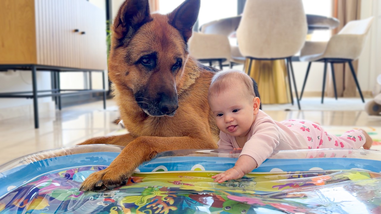 This Baby&rsquo;s Reaction to Exploring with Her German Shepherd Is Priceless