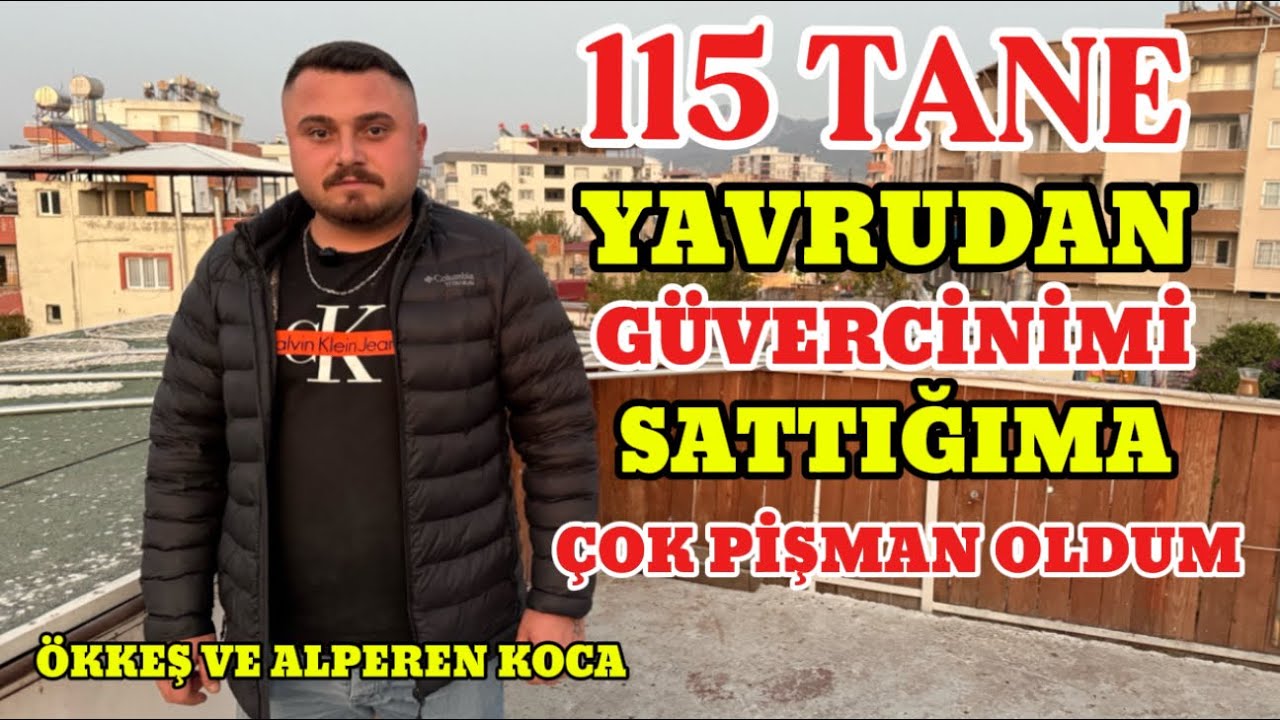 YAVRUDAN GÜVERCİNİN KARIŞMASINA DOYAMASSIN ÖKKEŞ VE ALPEREN KOCA