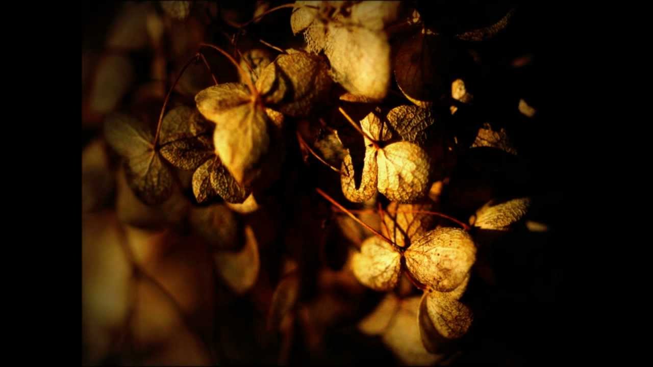 Catherina Pt.1 & Pt.2 - feat Claron McFadden - Wiegel, Meirmans & Snitker
