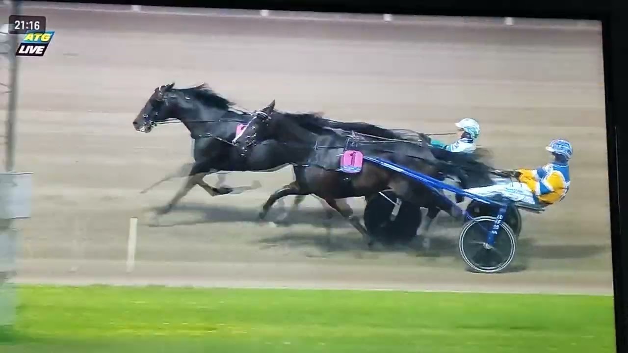 Hugo Åbergs Memorial Don Fanucci zet