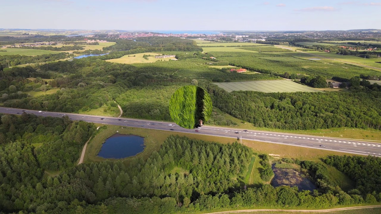 Danish summer landscape