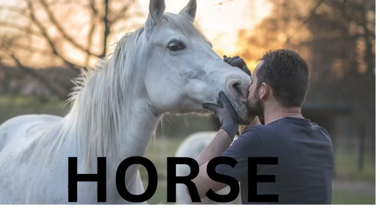 Speed, power aur grace! 💨 The Wild#HorseFacts #TheWildBloomKnowledge