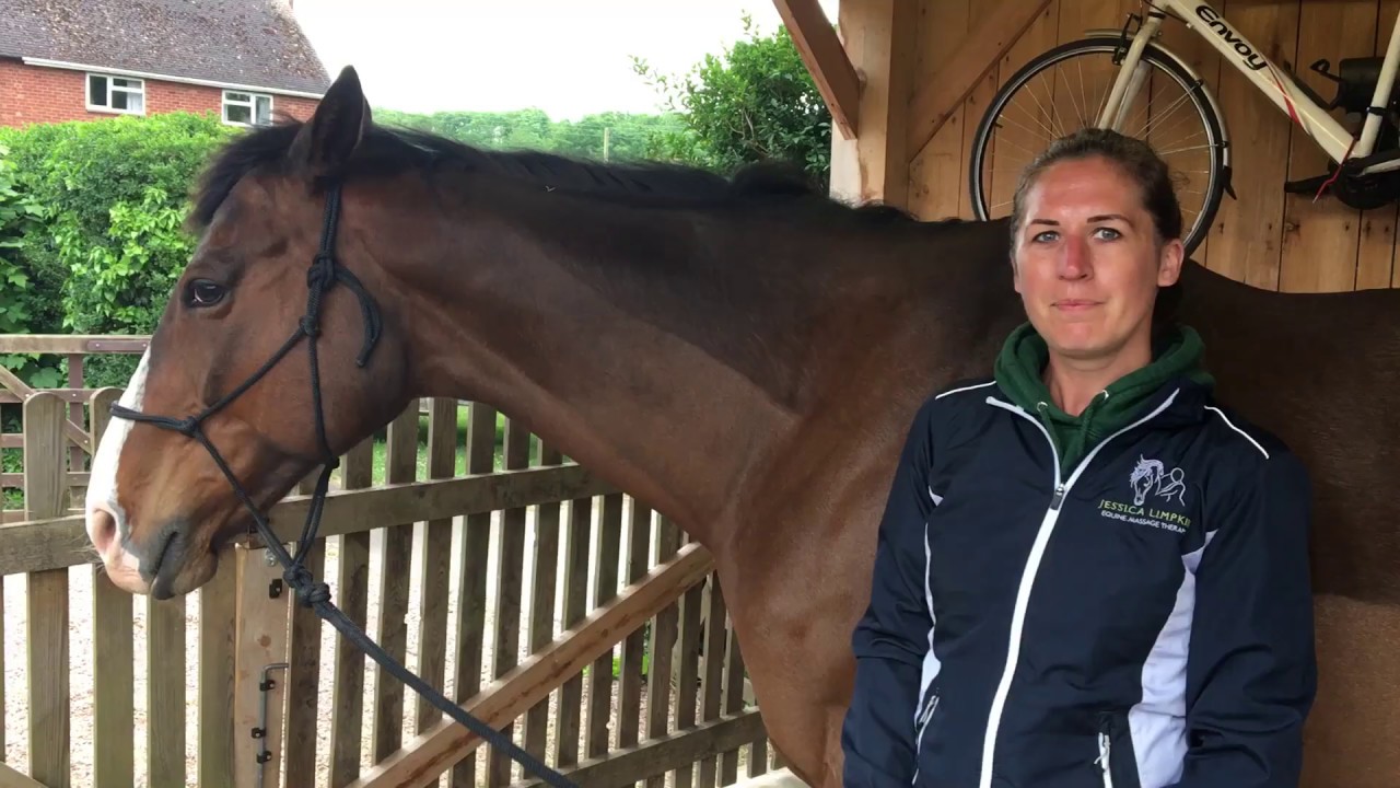 How to perform the Poll Mobilisation with your horse