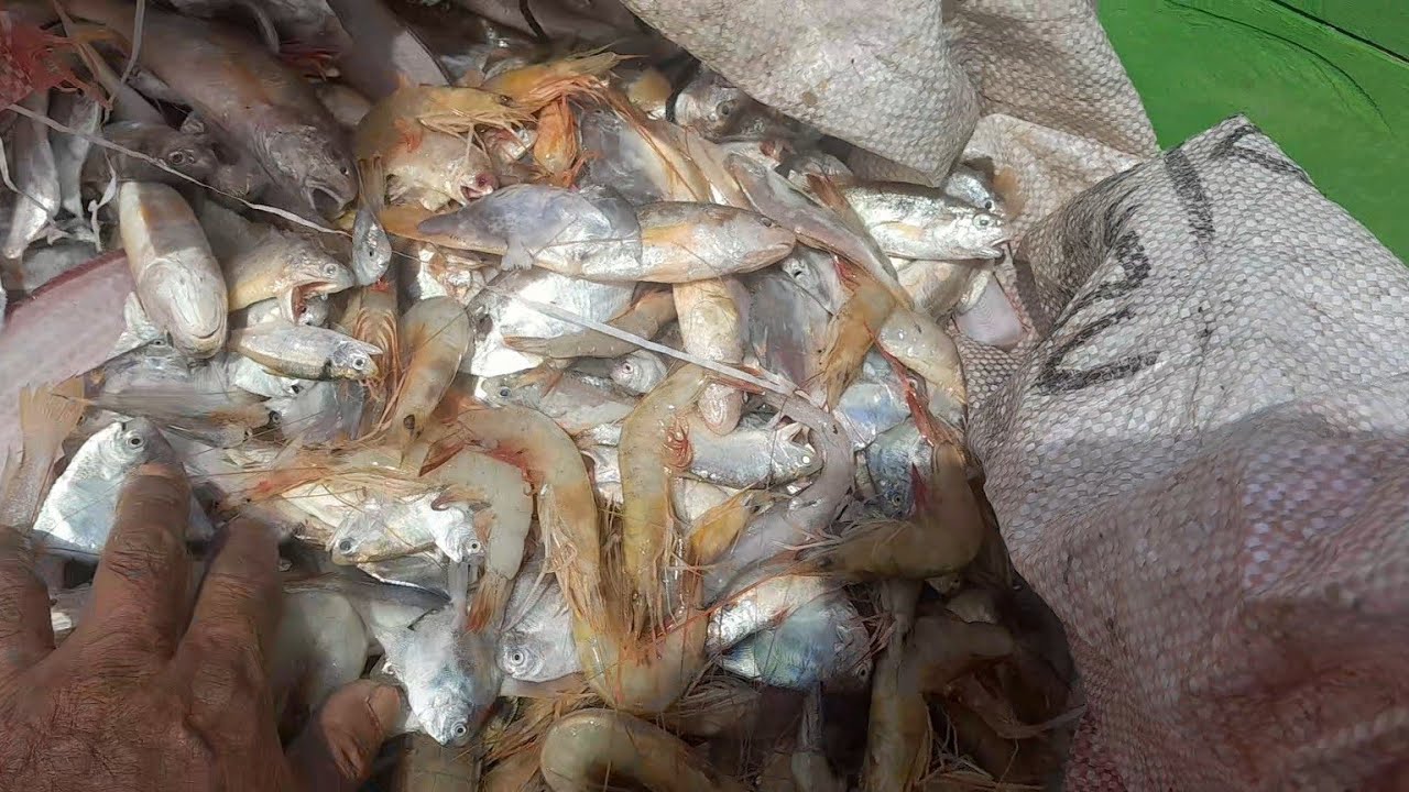 Cukup lah hari ini